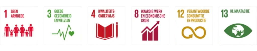 NGO iconen
